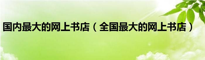 网上最大书城叫啥名字（网上最大书城叫啥名字）