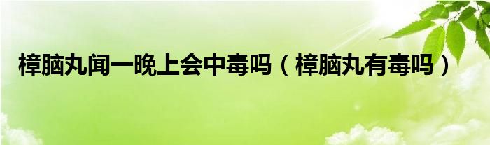 樟脑丸闻多了会中毒吗（樟脑丸闻一天会中毒吗）