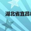 湖北省宜昌市副市长李向东接受审查调查