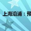 上海沿浦：预计上半年净利润同比增长92%