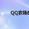 QQ农场在哪里找（qq农场在哪里）