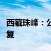 西藏珠峰：公司实控阿根廷孙公司取得环评批复