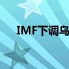 IMF下调乌克兰今明两年GDP增长预期