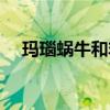 玛瑙蜗牛和非洲大蜗牛区别（玛瑙蜗牛）