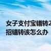 女子支付宝错转226万元陌生阿姨全退回 网友点赞：官方支招错转该怎么办