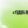 cf战队等级和职位（cf战队等级）