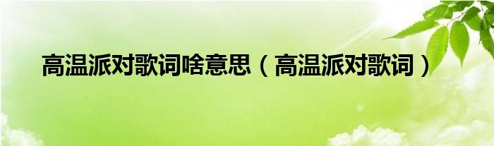 高温派对是什么风格（高温派对 歌词）