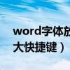 word字体放大快捷键是什么（word字体放大快捷键）