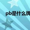 pb是什么牌子的缩写（pba是什么牌子）