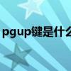 pgup键是什么意思啊（pgup键是什么意思）