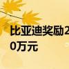 比亚迪奖励21位线索提供人：初步奖励最高30万元