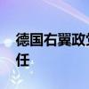 德国右翼政党举行选举 现任联合主席获得连任