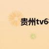 贵州tv6在线直播（tv6在线观看）