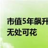 市值5年飙升3500%！NVIDIA将有大量现金无处可花