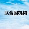 联合国机构：以军撤离令已影响约25万人