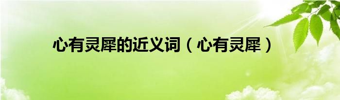 心有灵犀的近义词有哪些（心有灵犀的近义词还有什么）