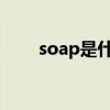 soap是什么意思（sap是什么意思）