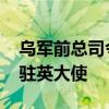 乌军前总司令扎卢日内前往英国 出任乌克兰驻英大使