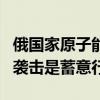 俄国家原子能公司：乌军对扎波罗热核电站的袭击是蓄意行动