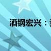 酒钢宏兴：竞拍取得探矿权 耗资3.3亿元