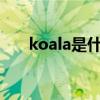 koala是什么意思?（koala什么意思）