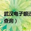 武汉电子眼违章几天能查到（武汉电子眼违章查询）