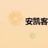 安凯客车：6月客车销量382辆