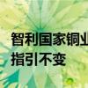 智利国家铜业公司董事会主席：维持全年产量指引不变