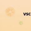 vscode设置中文（vsc）