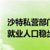 沙特私营部门展现蓬勃生机：Q2注册量激增 就业人口稳步提升