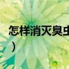 怎样消灭臭虫最快的方法（怎样才能消灭臭虫）