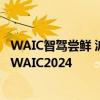 WAIC智驾尝鲜 沪上首批“无人驾驶”的士即将上路｜直击WAIC2024