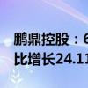 鹏鼎控股：6月合并营业收入为21.17亿元 同比增长24.11%