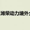 潍柴动力境外全资子公司开展衍生品交易业务