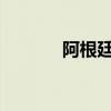 阿根廷政府改革法案正式生效