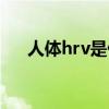 人体hrv是什么意思（hrv是什么意思）