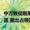 中方敦促刚果（金）所有武装团伙立即放下武器 撤出占领区