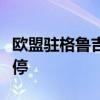 欧盟驻格鲁吉亚大使：格加入欧盟的进程已暂停