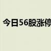 今日56股涨停 主要集中在电子、汽车等行业