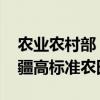 农业农村部：将积极争取政策和资金 支持新疆高标准农田建设