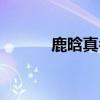 鹿晗真名字叫什么（鹿晗真名）