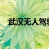 武汉无人驾驶网约车用户：车费非常便宜