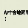 肉牛舍地面用什么材料（牛舍地面用什么材料）