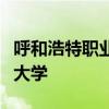 呼和浩特职业学院拟更名为呼和浩特职业技术大学