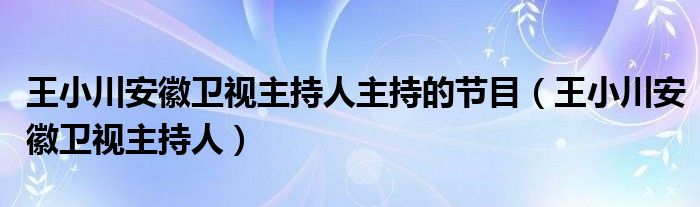 安徽卫视电视剧直播（安徽卫视电视主持人王小川的简历）