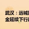 武汉：远城区引领住宅市场成交 商业地产租金延续下行趋势