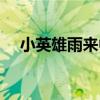 小英雄雨来中扫荡的意思（扫荡的意思）