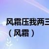 风霜压我两三年心中早已无怨言全诗什么意思（风霜）