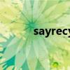 sayrecy数据恢复软件（say51）