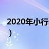 2020年小行星撞地球（2019年小行星撞地球）